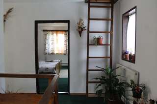 Гостевой дом Pensiunea Bradet Broşteni Двухместный номер с 1 кроватью или 2 отдельными кроватями, общая ванная комната-6