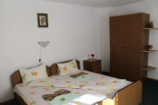 Гостевой дом Pensiunea Bradet Broşteni Двухместный номер с 1 кроватью или 2 отдельными кроватями, общая ванная комната-8